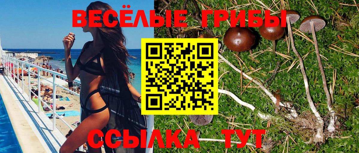 Еманжелинск  Галлюциногенные грибы MAGIC MUSHROOMS  Вход с VPN  Галлюциногенные грибы Psilocybe 